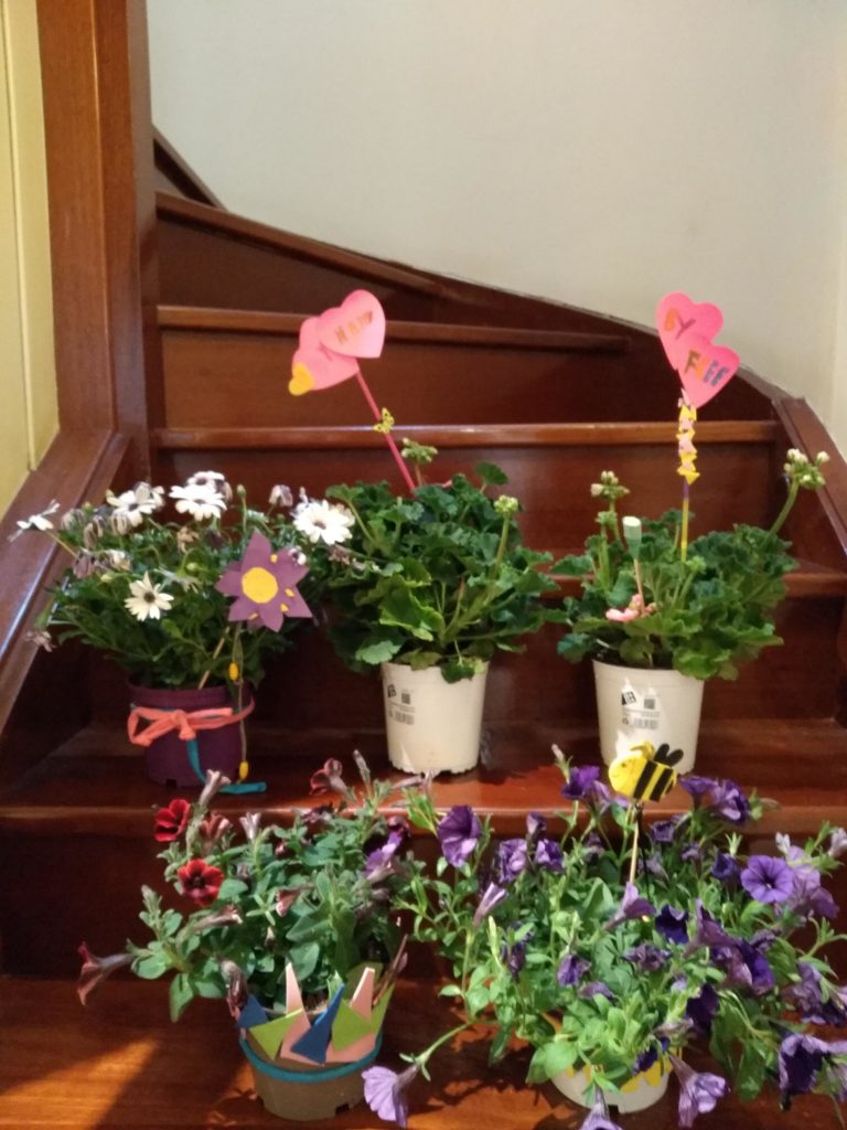 IMG_20200417_185840.jpg