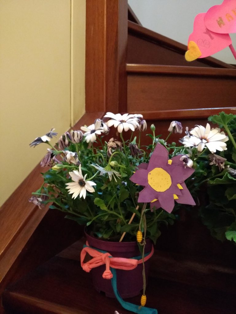 IMG_20200417_185844.jpg